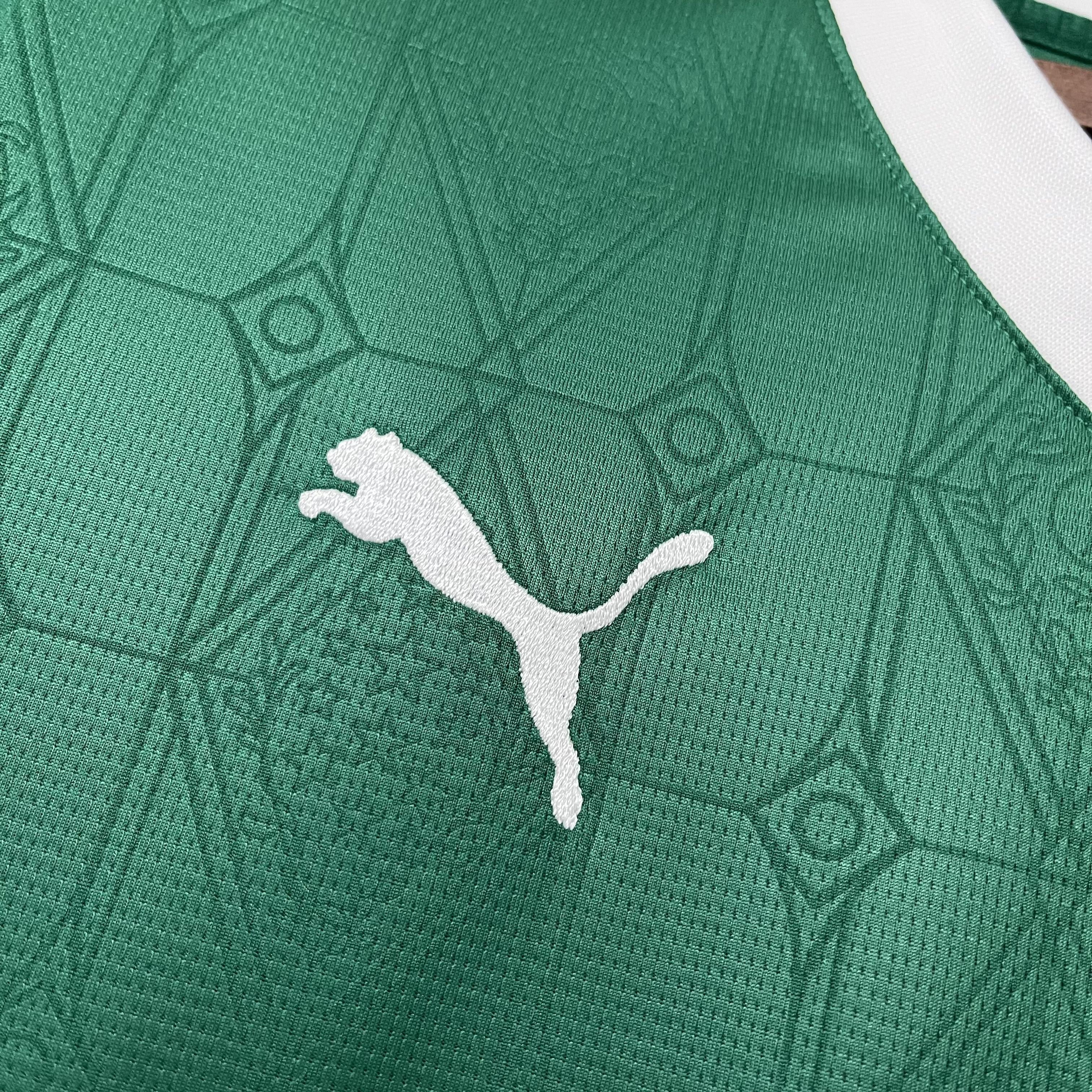 Camisa Palmeiras Titular 25/26 - Versão Torcedor Verde